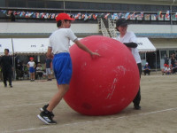 IMG_8278